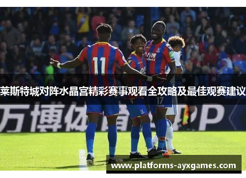 莱斯特城对阵水晶宫精彩赛事观看全攻略及最佳观赛建议