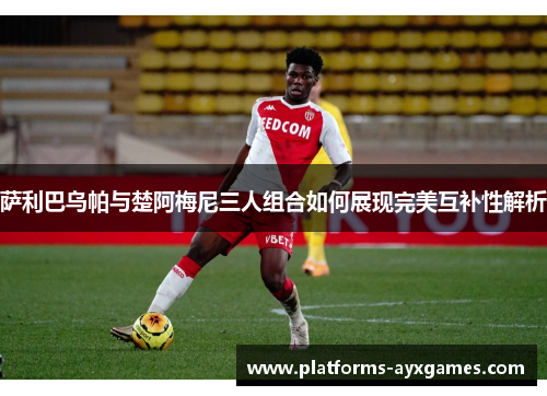 萨利巴乌帕与楚阿梅尼三人组合如何展现完美互补性解析