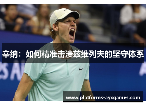 辛纳：如何精准击溃兹维列夫的坚守体系