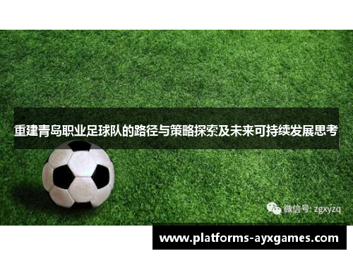 重建青岛职业足球队的路径与策略探索及未来可持续发展思考